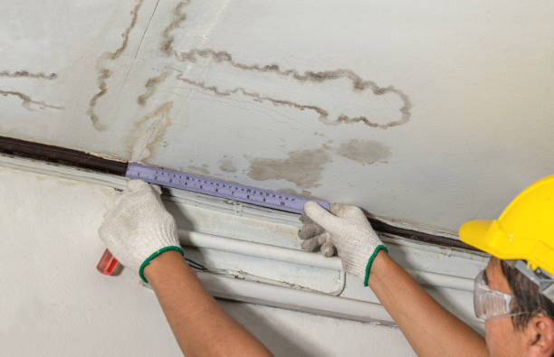 Reliable Structural Drying contractor in Hesperia, MI by Water Damage Irwin